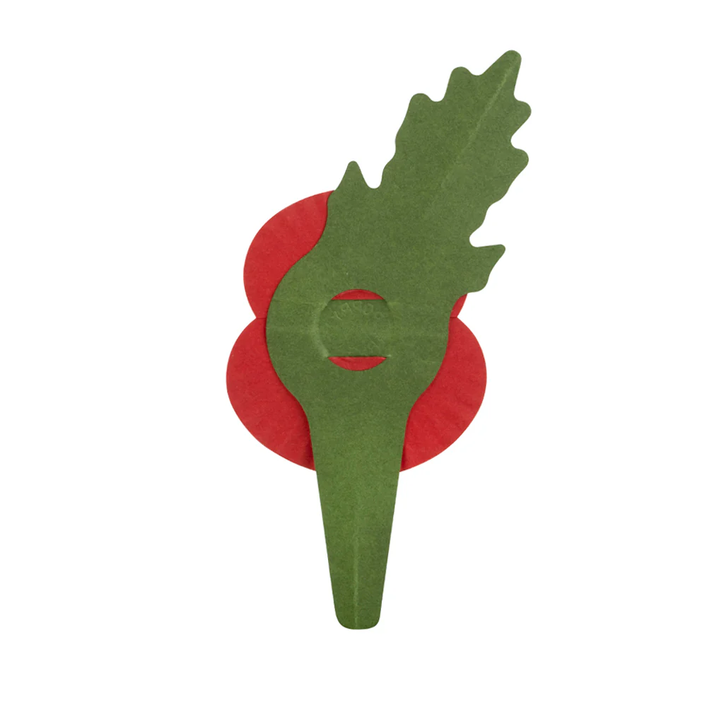 Plastic-Free Paper Poppy - £10 - Image 14
