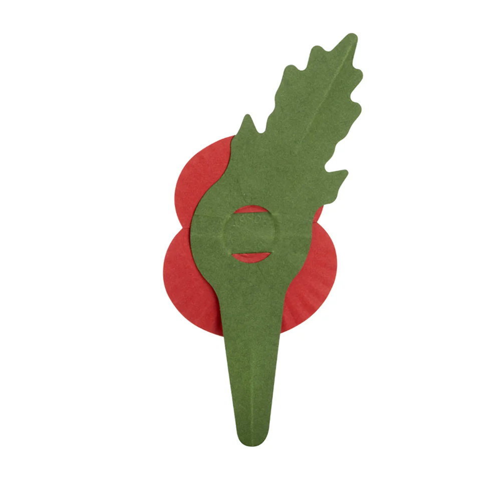 Plastic-Free Paper Poppy - £10 - Image 15