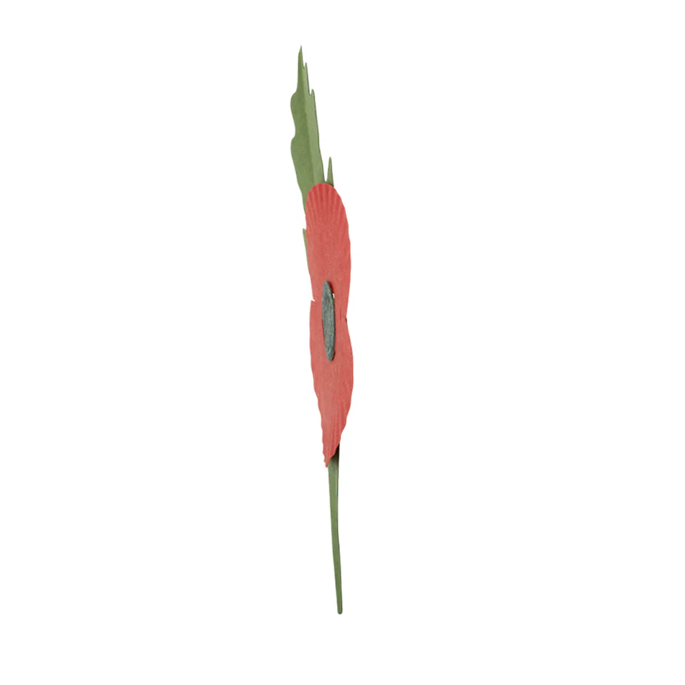 Plastic-Free Paper Poppy - £2 - Image 20